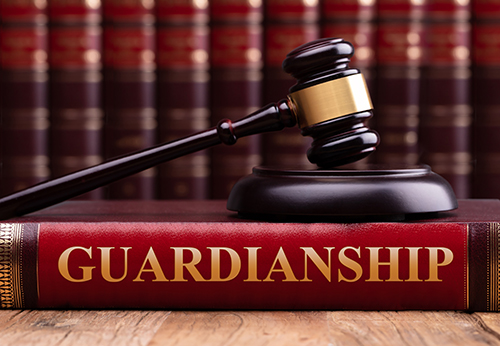 Guardianship Lawyer Rohnert Park California